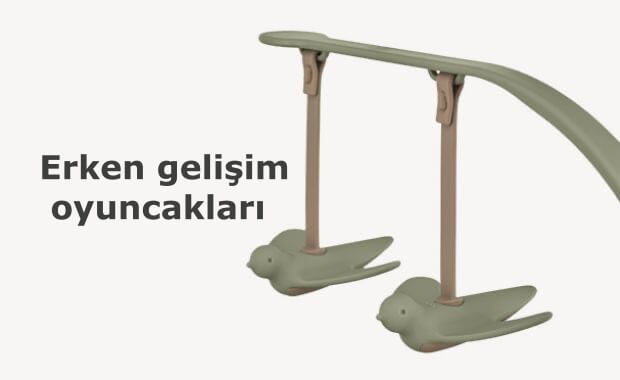 Anex_Ozy_Erken gelisim oyuncaklari.jpg (13 KB)