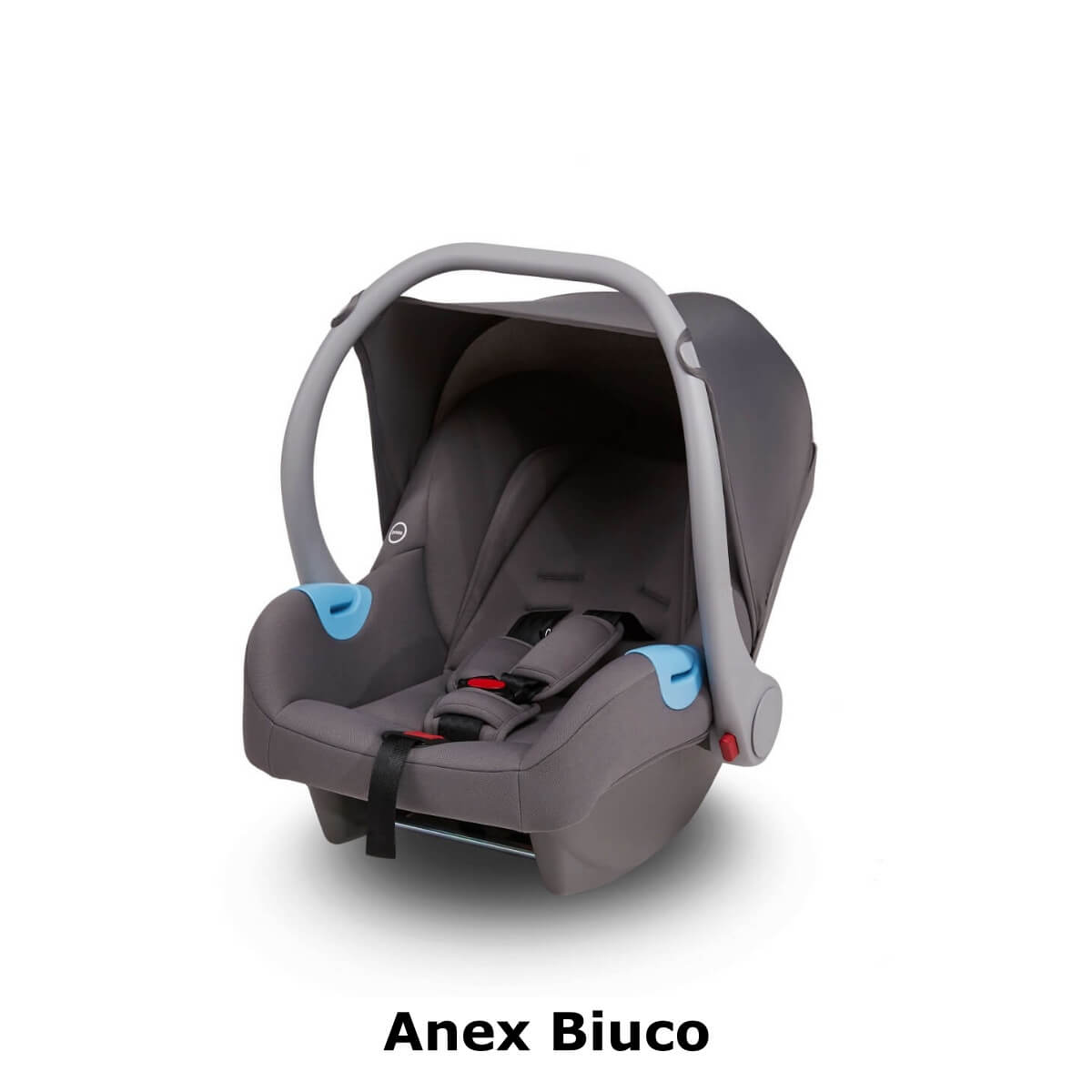 Anex Biuco_Gri.jpg (37 KB)