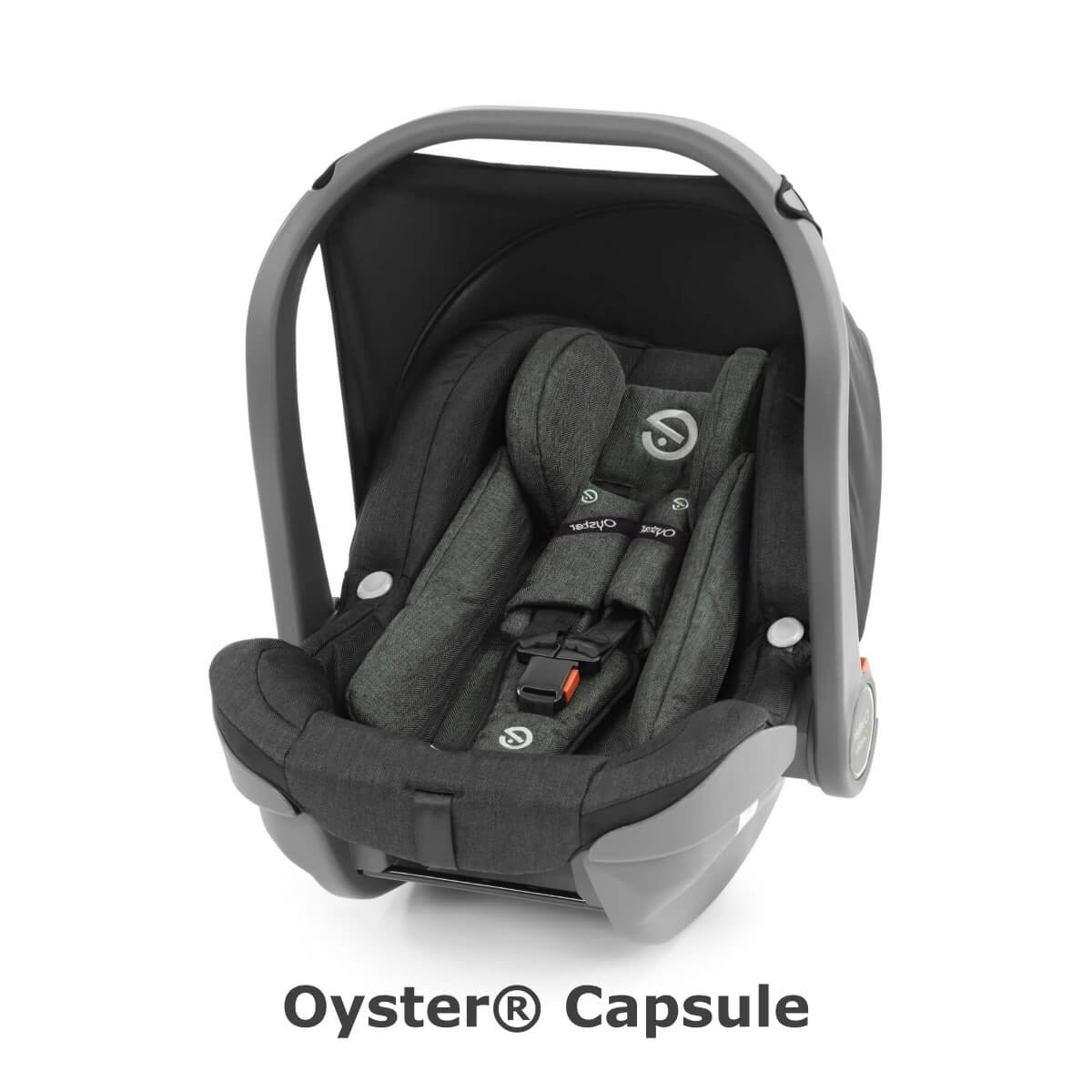 osyter capsule oto.jpg (59 KB)