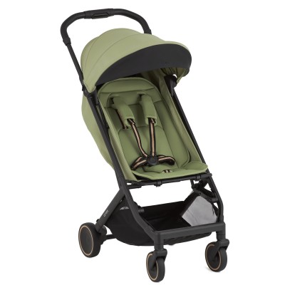 Anex Air-X² Kabin Boy Travel Sistem Bebek Arabası - Vert - Thumbnail