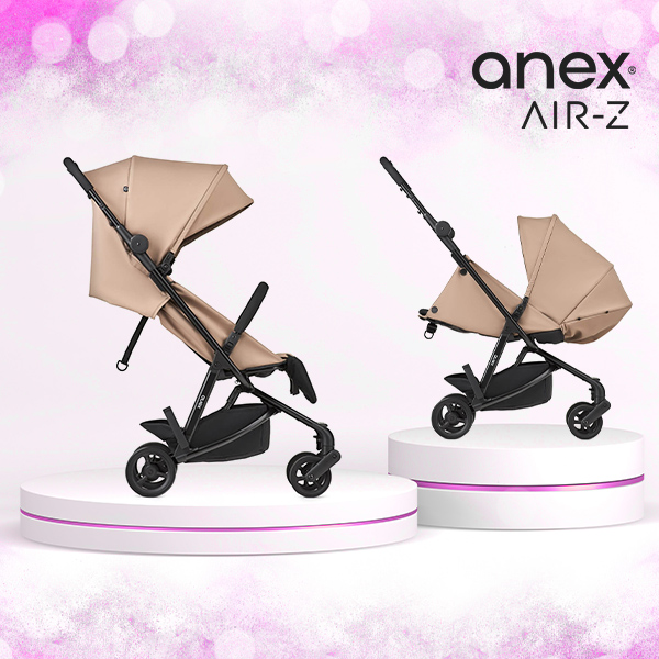 Anex® Poussette Sport Air-Z (0-22kg) Mist