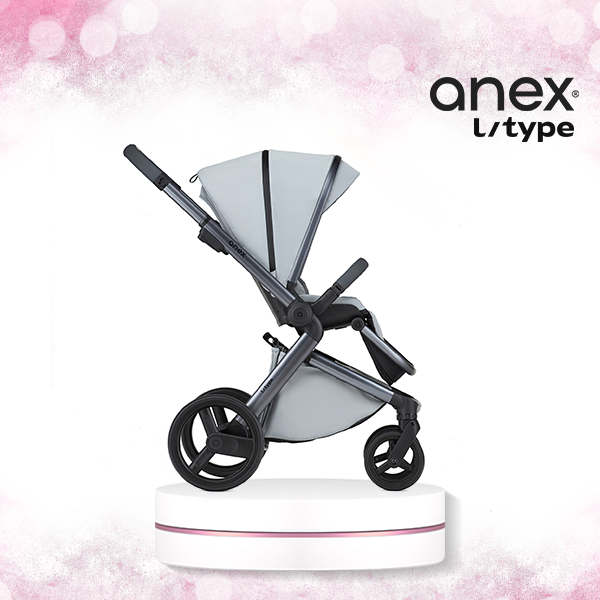 Anex l/type bebek arabası - Frost